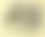 Ether et Crac ! En freewheelin’ le