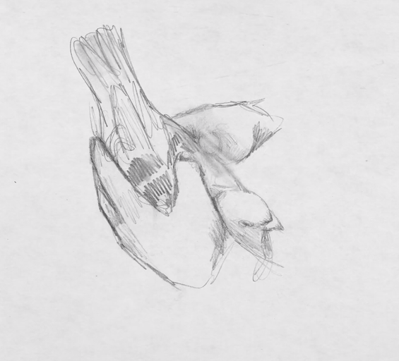 Épisode Récréation Sonore : LA NATURE #3 de l'émission Récréation sonore