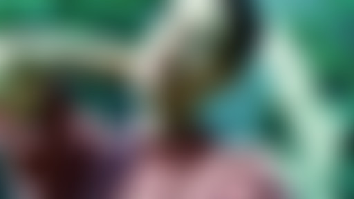 Novorama - Interview La Fraicheur