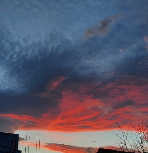 Épisode Voix enchantées épisode 17 - Rosalie de l'émission Voix enchantées