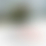 VRF Show #26 avec Nick Conrad