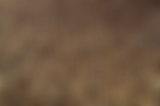 Alimentaire mon cher Watson: Le sarrasin // 10.01