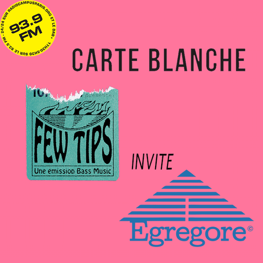 Épisode Culture "Soundsystem" et Bass Music avec Few Tips,... de l'émission Carte Blanche