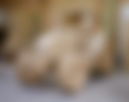 En Pleines Formes 21/11/2021 : Ruralité et art con...