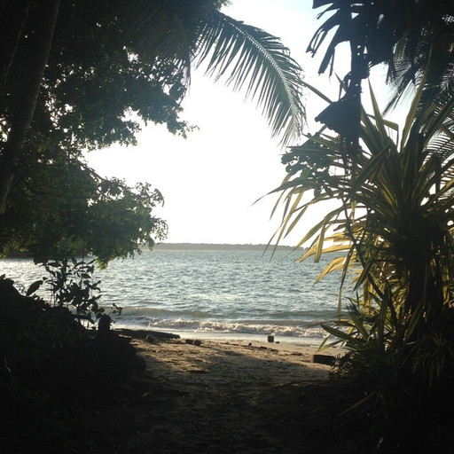 Épisode Ep.4 - Cocada de l'émission Despelote ! Carnets de voyage colombiens