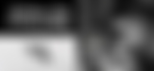 Pardonnez-nous le Dimanche minuit #41 – Bab