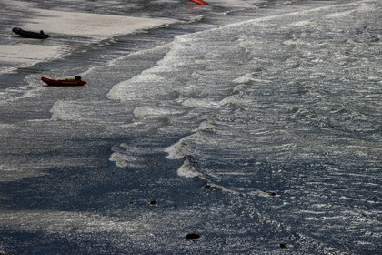 Le parc naturel marin d'Iroise