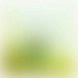 Drugstore Melodies#2 Les Losers