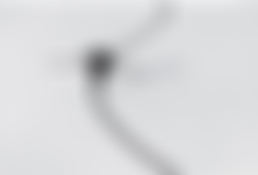 J'ai deux amours : Ioannis