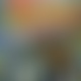 Bam Salute special Alborosie