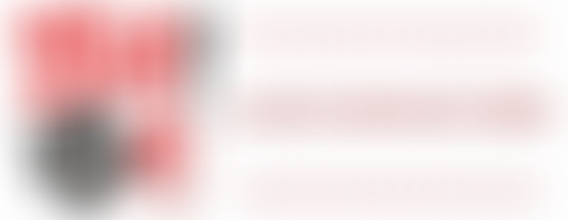 Activités de la LUDI - IDF