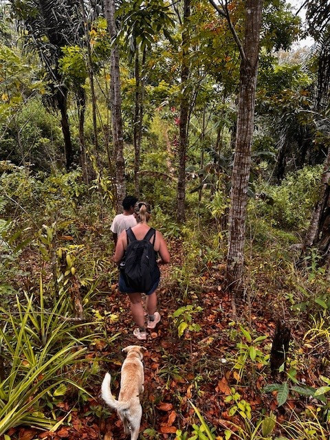 Delphine dans la jungle