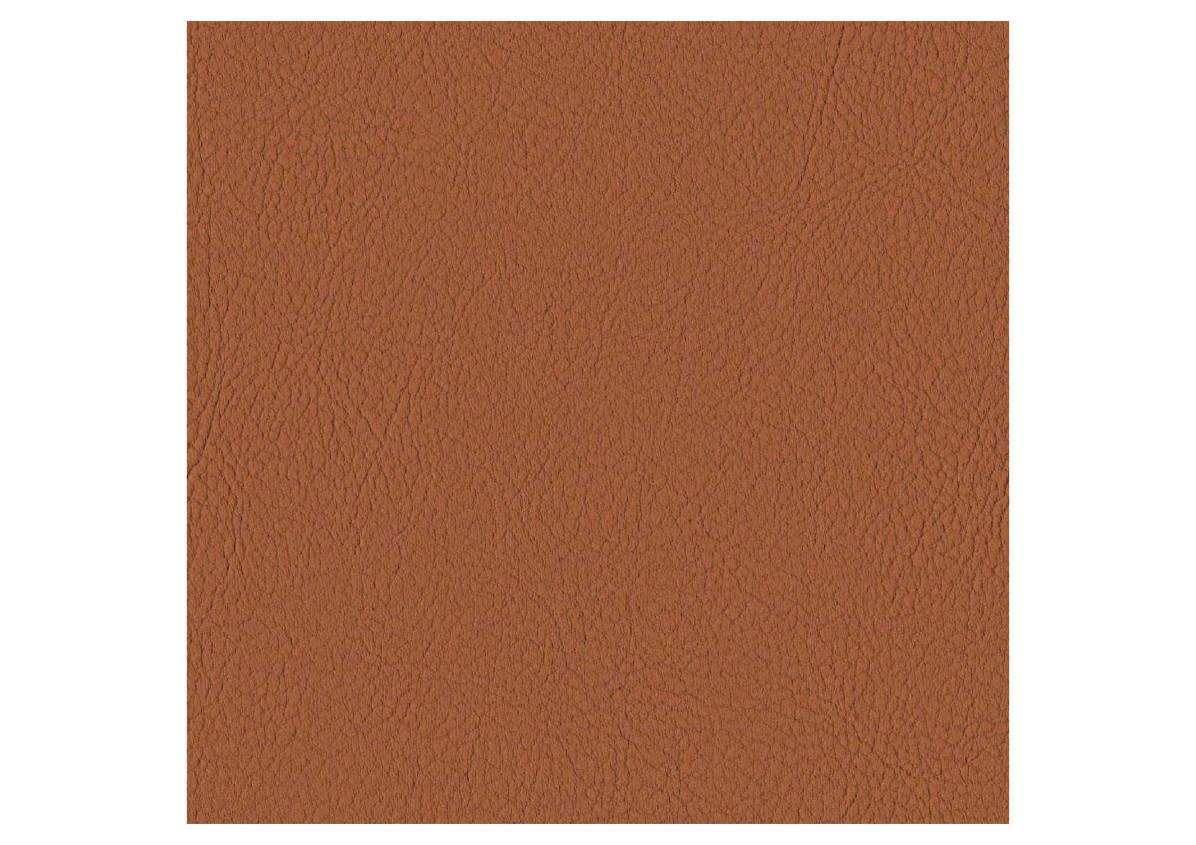 Ted Terracotta