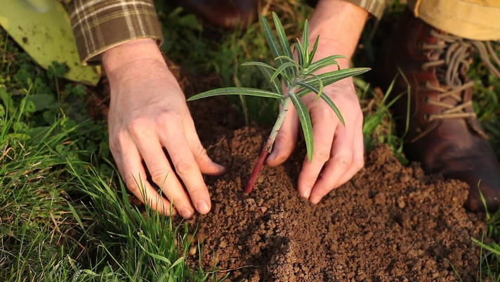 Épisode Chablis hebdo : femme je vous sème de l'émission Chablis Hebdo