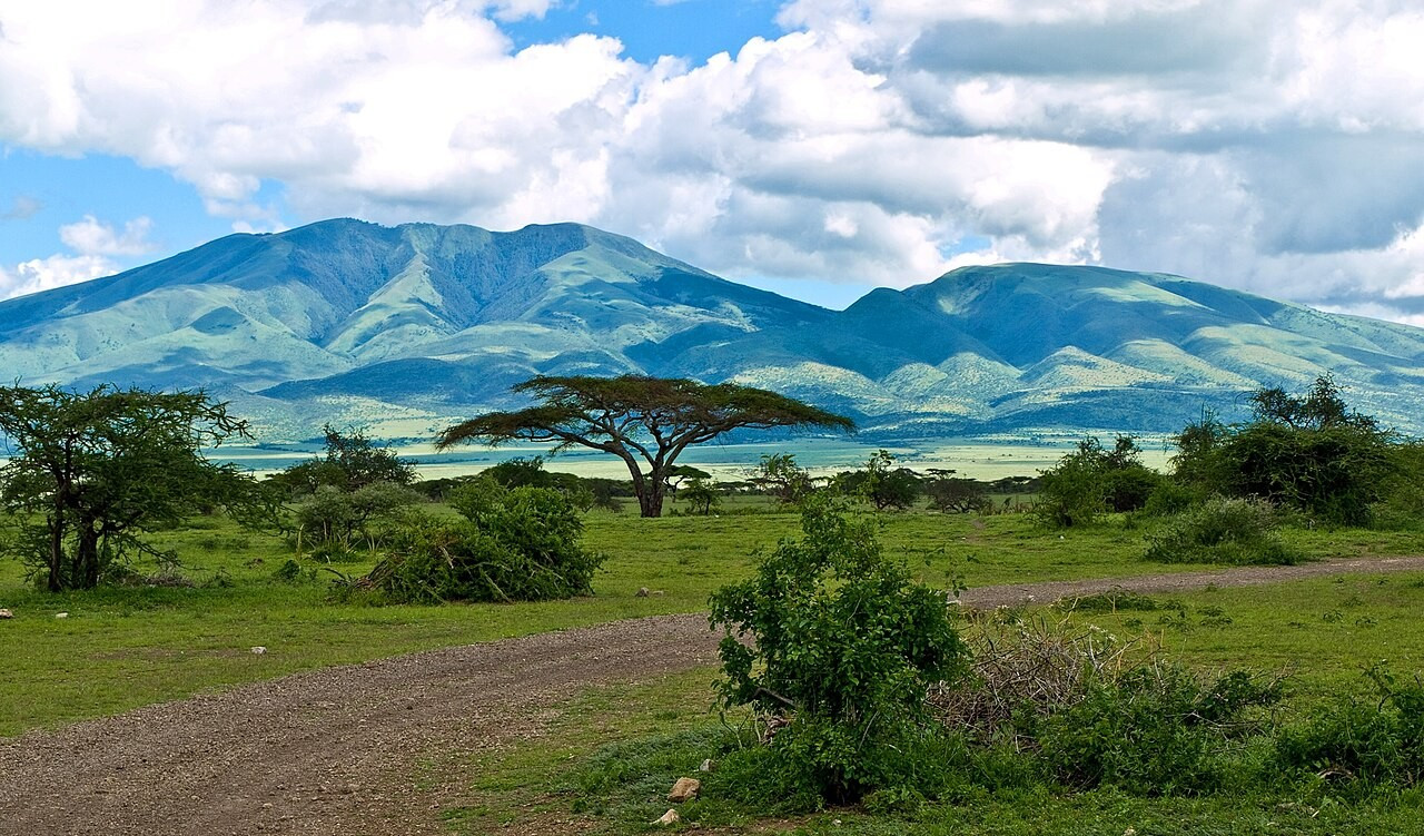 Vue sur un chemin de terre sinueux et des montagnes au loin depuis le site du musée d'Oldupai, en Tanzanie. © William Warby sous license Creative Commons Rendez-vous au Musée d'Olduvai en Tanzanie