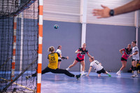 Europ’A Cup : le handball européen fait son retour à Strasbourg