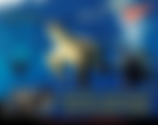 Tropical Club : plage #14