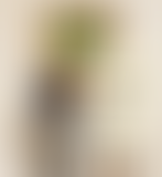 Planisphère : 54 – Les reprises