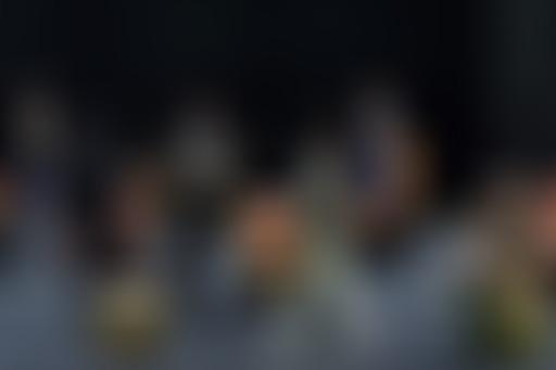 Pièces détachées : Une mouette et autres cas d'esp...