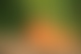 À la Recherche d'une Agriculture Logique