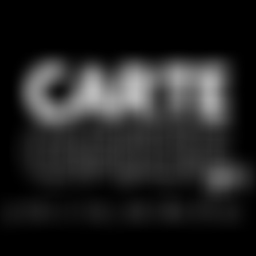 Carte Grise - Les Bars en Trans, Julien Baker & no...