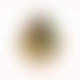 Mercredi ! Pop culture : magie et chocolat !