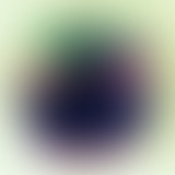 Les Montagnes Russes vol.79 : Last but not least