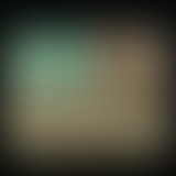 Chablis spécial Nuit américaine