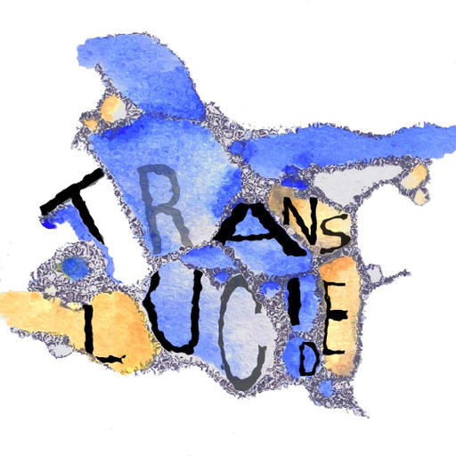 Épisode EP2. Fukushima. Vivre et enquêter avec la radioact... de l'émission Translucide