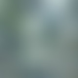 Récréation Sonore : English episode // NOCTURNE fe...