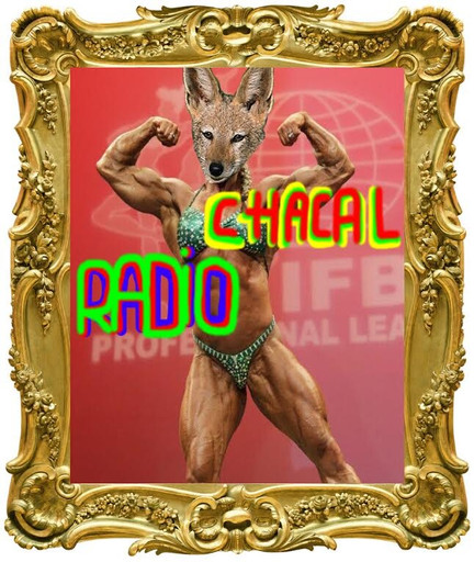 Épisode Sandwich Triangle : Radio Chacal // 18 JUILLET 201... de l'émission Sandwich triangle