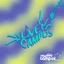 La Musique, toutes les musiques ! • L!VE Campus