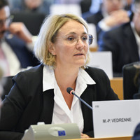 Accord UE-Mercosur : jusqu'où iront les négociations ? - Marie-Pierre Vedrenne