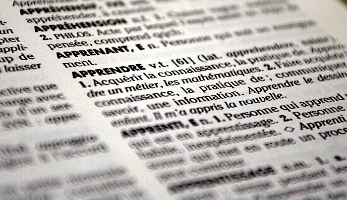 Épisode Thelma et Louise: Le sexisme de la langue français... de l'émission Thelma et Louise