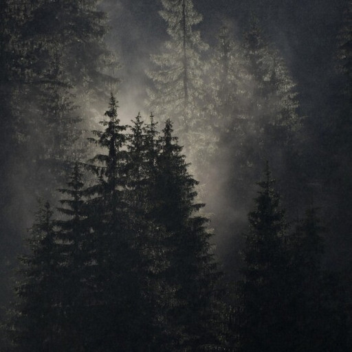 Amplitudes : Best of 2015