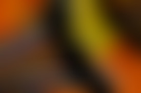 Chablis Hebdo - Pardonnez moi j'ai mon cul sur vot...