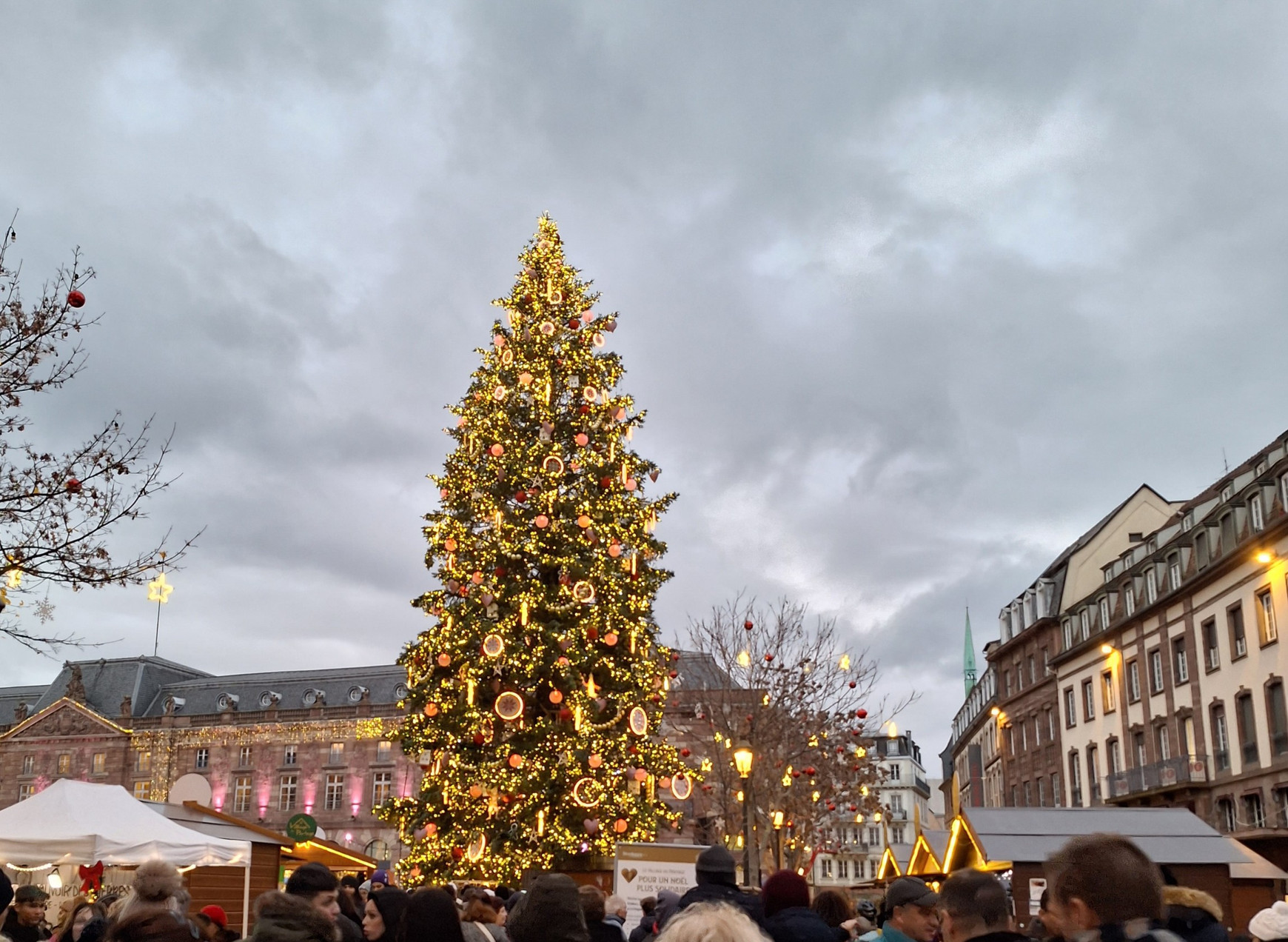 © Crédit photo : Odelia Sibony Le Sapin de Strasbourg, Capitale de Noël