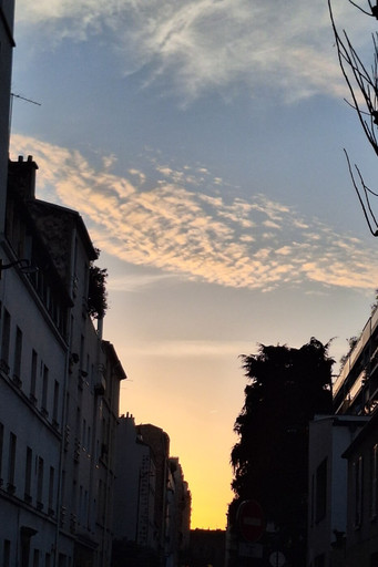 Épisode Voix enchantées épisode 38 - Eli de l'émission Voix enchantées