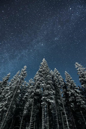 Épisode Récréation sonore: La nuit#3,  Noël de l'émission L'Apéro