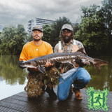 Les derniers seront les premiers - Épisode 1 : Ish...