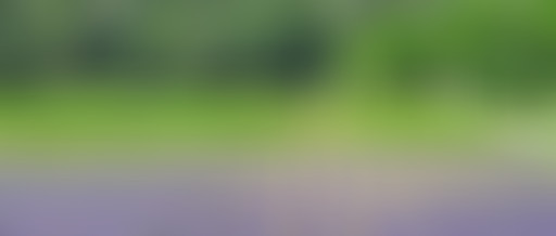 Et non, en Provence, il n'y a pas que le rosé dans...