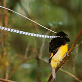 Amplitudes : Le Mix #19 - Parking Gratuit