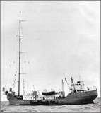 2ème épisode: les pionniers