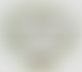 Chablis Hebdo // On a tous des soeurs