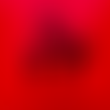 Digger's Digest ou l'art de la réédition