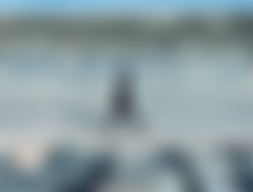 La Ligue des Albums Incompris [La Mort, c'est cool...