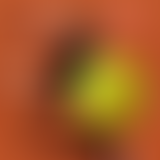 Naufrage à Waikiki s03e12