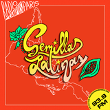 Luttes environnementales et perspectives indigènes